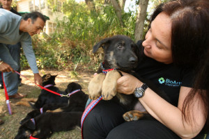 Air Conditioning Commercial Heating and Cooling Heating