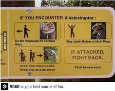 If you encounter a veloclraptor More