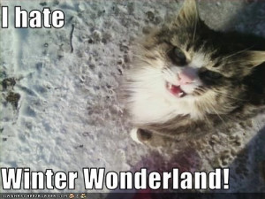hate winter | hate Winter Wonderland!