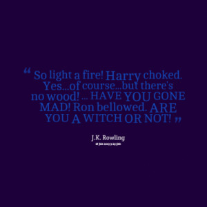 So light a fire! Harry choked. Yes...of course...but there's no wood ...
