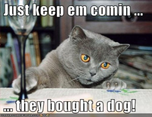 funny-pictures-cat-drinks-because-you-bought-a-dog