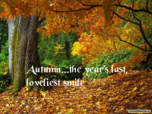 This saying just spoke to me and fits the image perfectly. Fall is ...