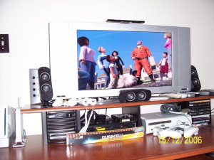 My tv running over the hedge