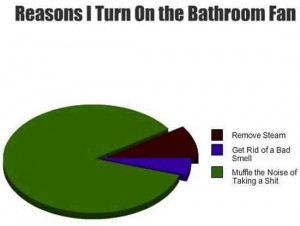 Reasons I Turn On the Bathroom Fan…