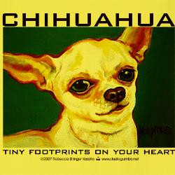 ... funny chihuahua sayings stickers funny chihuahua sayings bumper