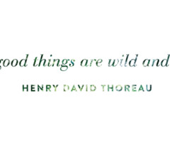 Images from eternalyouthco.tumblr.com