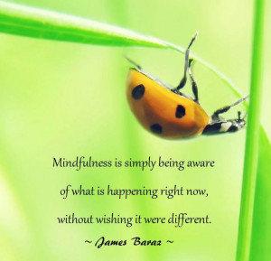 Subscribe to Inspiration Back to Inspiration page