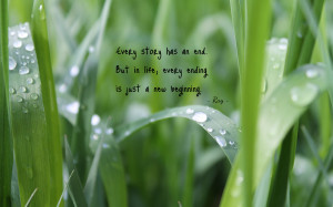 Every story has an end... quote wallpaper