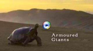 BBC Life in Cold Blood Armoured Giants: crocodiles, turtles and ...