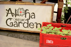 love my city and its diverse shops that feature local produce!