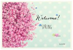 welcome spring more seasons joyofmom day month seasons spring sprung ...