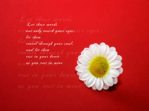 ... day lovely quotes on wallpapers valentines day lovely quotes on