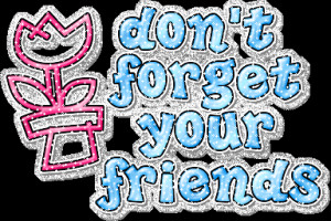 Don’t Forget Your Friends Glitter