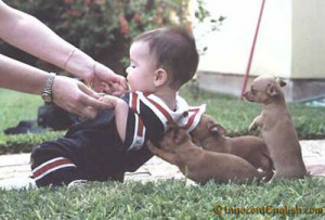 funny-puppy-push-picture.jpg