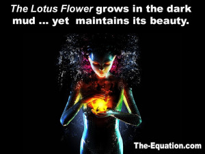 Lotus Flower - From The Equation book by James Tarantin
