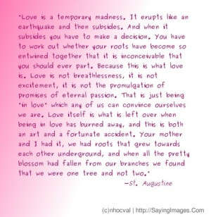 Love is a temporary madness
