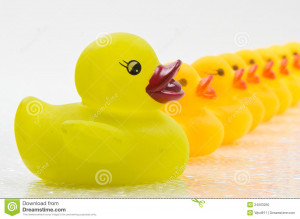 Rubber Ducks Row Stock Photo
