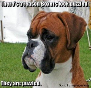 Funny Humorous Puzzled Boxers