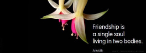 Friendship Is A Single Soul Facebook Timeline Cover