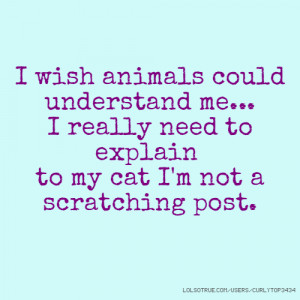 wish animals could understand me... I really need to explain to my ...