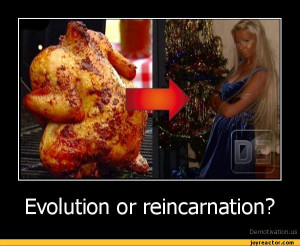 funny reincarnation