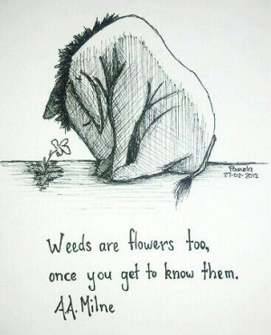 weeds are flowers too