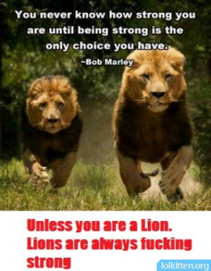 ... looking strong with lion tattoo design lion tattoo for shoulder