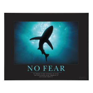 No Fear Quotes And Sayings No fear shark motivational