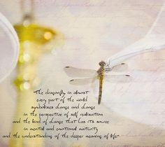 Dragonfly Quotes | am linking to Pink Saturday. Bev from How Sweet The ...