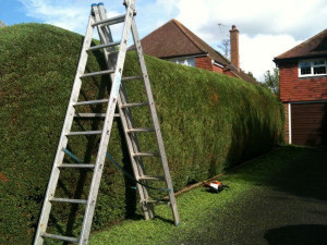 CS GARDEN SERVICES - Grass Cutting Service - Tidy-Ups - FREE QUOTE !!
