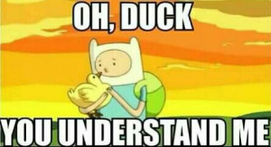 ... Life, Funny Adventure Time Quotes, Adventure Time Memes, Finn Quotes