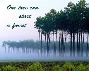 as a man walked a desolate beach one cold gray morning he began to see ...