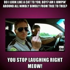 Super Troopers More