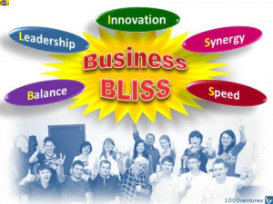 Business BLISS: Balance, Leadership, Innovation, Synerhy Speed by ...