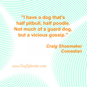 filed under quotes about dogs tagged with quotes