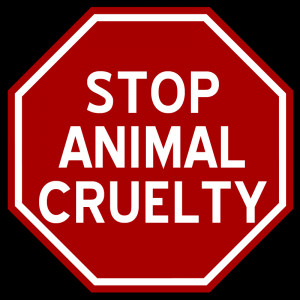Stop Animal Abuse Logo Speak your mind cancel reply