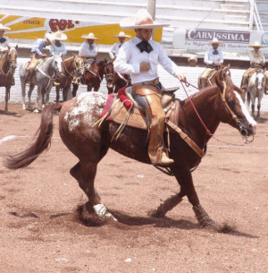 Eduardomonta Dando...