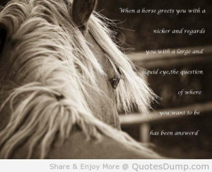Meaningful Horse Quotes (7)