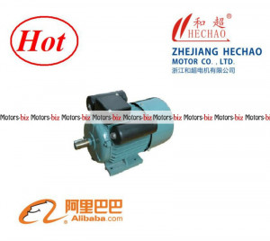 YL100L1 4 3HP single phase induction motor