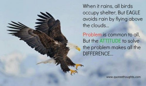 Attitude quote thoughts rain birds shelter eagle problem inspirational ...