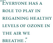 ... Pollution Standards Monitoring Ozone Solving the Problem Links and