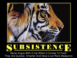 Metal Gear Solid 3: Subsistence - page 1 at GameSpy - Read all of ...