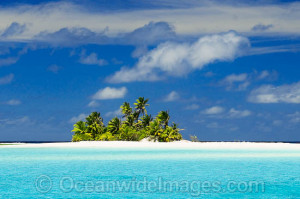 Tropical Island Photography...
