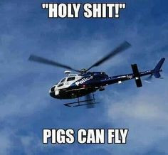 police humor more funny shit fly the police police humor pigs doctors ...