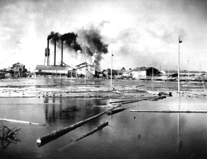 Credit This Photo State...