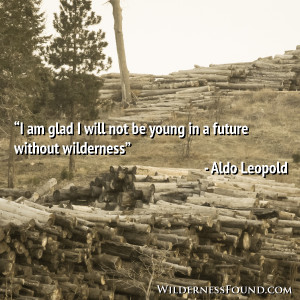 future without wilderness – Aldo Leopold