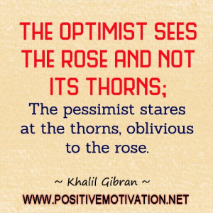 The optimist sees the rose and not its thorns; the pessimist stares at ...