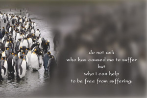 Do not ask who has caused me to suffer but who i can help to be free ...