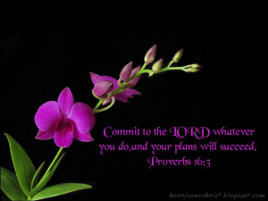 bible verse proverbs desktop wallpaper download christian bible ...