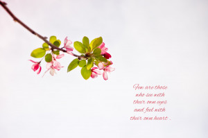 ... spring has sprung quotes displaying 19 images for spring has sprung